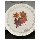CANADA PLATE CANADA PLATE