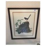 Framed Ray Harm Print