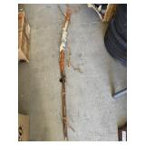 Walking Stick