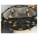 Bow with Arrows & Carrying Case