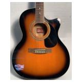 Rogue Acoustic Guitar (Model RAGCEQ)
