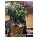 Large Artificial Plant
