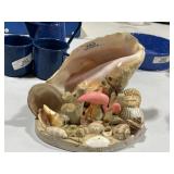 Large Shell Artwork