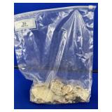 Assorted Shells and Sand Dollars