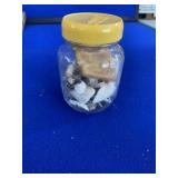 Lot of Assorted Shells