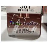 223 Ammo