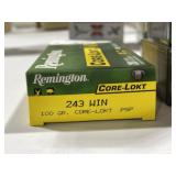 243 Ammo
