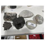 Petrified Wood & Other Collectibles