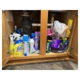 Contents of Kitchen Cabinets Under Sink
