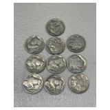 10 Buffalo Nickels