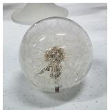 Dandelion Art Glass Paperweight