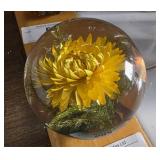 Hafod Grange Paperweights