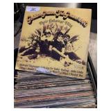 Golden Grass Vinyl Record Album