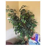 Artificial Tree & Plant