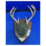 Deer Antler Mount