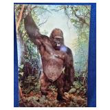 St. Louis Zoo Postcards