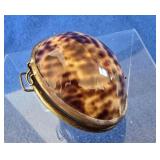 Tiger Cowry Sea Shell