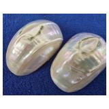 2 Polished Sea Shells