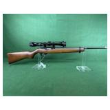 Ruger 10/22 Rifle, 22 LR