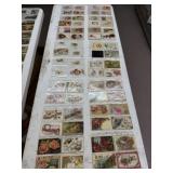 16 Binder Sleeves of Vintage Postcards