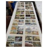 16 Binder Sleeves of Vintage Postcards