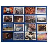 Collection of 16 Vintage Postcards