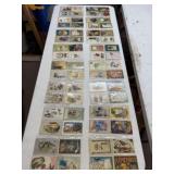 16 Binder Sleeves of Vintage Postcards