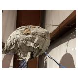 Hornets Nest