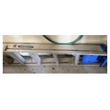 Werner Aluminum Step Ladder