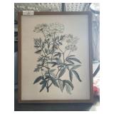 Framed Artwork