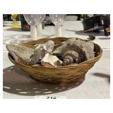 Seashells in Basket