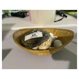 Sea Shell Collection