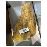 Large Fossilized Tree