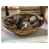 Basket of Shells