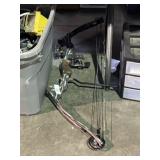 Compound Bow with Sights
