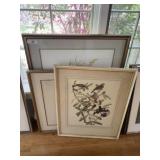 3 Large Framed Bird Prints