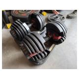 Bowflex Adjustable Dumbbell Set