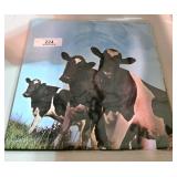 Lot of Collectible Records