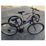 2 Mountain Bikes