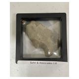 Native American Projectile Point