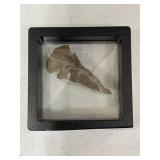 Tribes Type Arrowhead