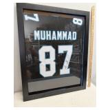 Framed Signed Muhsin Muhammad Jersey