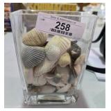 Glass Vase with Seashells