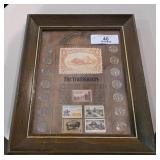 Buffalo Nickels & Stamps Collection