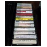 Vintage Cassettes & Case