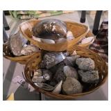 Seashells & Fossils