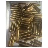 .223 Winchester Shells