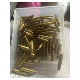 .223 Winchester Shells