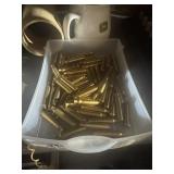 .223 Winchester Shells
