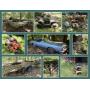 INTERNATIONAL CUB TRACTOR, ATV, MOWER & MORE